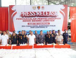 Dirkrimsus Polda KEPRI Hadiri Confrensi PERS Penyelundupan Benih Bening Lobster 237.305 Benih Bening Lobster Senilai 23,6 Miliar Rupiah