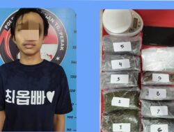 Pengedar Ganja Kering Asal Dukuh Kupang Berhasil Diamankan Polres Tanjung Perak