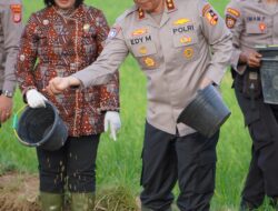 Dukung Ketahanan Pangan Nasional, Kakorbinmas Baharkam Polri Semai Padi Di Kulon progo