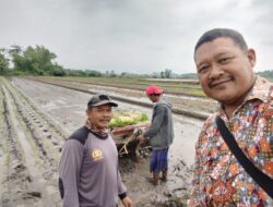 Bhabinkamtibmas Polres Mojokerto Pilih Bertani Usai Berdinas