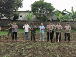 Dukung Ketahanan Pangan, Polsek Lingsar Tanam Jagung Di Pekarangan Mapolsek
