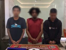 Satresnarkoba Polresta Mataram Kembali Amankan 1 Pengedar Dan 2 Pengguna Ganja