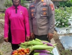 Polsek Mataram Sukses Panen Bersama Sayuran, Dukung Program Ketahanan Pangan Nasional