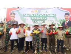 Dukung Ketahanan Pangan, Polres Bojonegoro Panen Raya Jagung