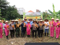 Polres Pelabuhan Tanjungperak bersama Poktan Panen Raya Jagung Tahap 7, Perkuat Ketahanan Pangan Nasional