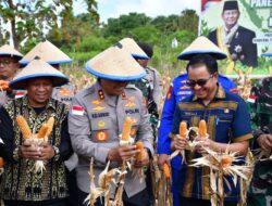 Kapolda NTT Pimpin Panen Raya Jagung Serentak, Dorong NTT Jadi Lumbung Pangan Nasional
