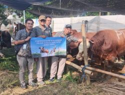 Idul Adha 1446 H : PDAM Kota Surabaya Salurkan 14 Hewan Kurban Sapi, Wujud Kepedulian Dan Komitmen Layanan Untuk Masyarakat