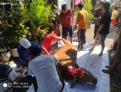 Iklhas Berbagi, Tulus Mengabdi : Mushola Miftahul Jannah Bagikan Daging Kurban Pada Hari Raya Idul Adha 1446 H/2025