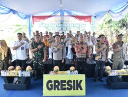 Polres Gresik Panen Jagung 5 Ton, Wujud Nyata Dukung Swasembada Pangan 2025