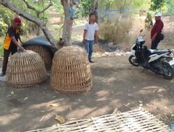 Gerak Cepat Polres Gresik Respon Aduan Warga, Arena Sabung Ayam Di Menganti Digerebek, Amankan Barang Bukti