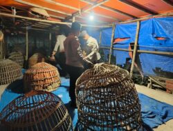 Polres Lamongan Bongkar Arena Judi Sabung Ayam Di Dua Lokasi