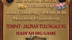 Bebas Beraktifitas Judi Sabung Ayam Berkedok Kontes, Hingga Tak Tersentuh