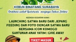 HUT ke-110 KBS Surabaya Terus Berkomitmen Hadirkan Inovasi Dalam Pengelolaan Satwa, 4 Kura-Kura Raksasa Dari Jepang Kini Jadi Penghuni Baru