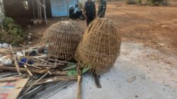 Polsek Sidayu Tertibkan Lokasi Diduga Jadi Tempat Judi Sabung Ayam Di Gresik