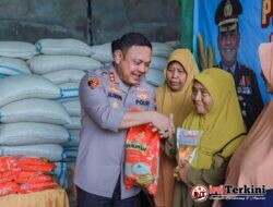Dukung Ketahanan Pangan, Polres Jember Gandeng Bulog Serap Hasil Panen Jagung Petani Puger