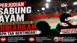 Perjudian Sabung Ayam Di Desa Nambaan Ngasem Kediri Semakin Subur, Penegakan Hukum Diminta Tegas