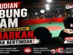 Perjudian Sabung Ayam Di Desa Nambaan Ngasem Kediri Semakin Subur, Penegakan Hukum Diminta Tegas